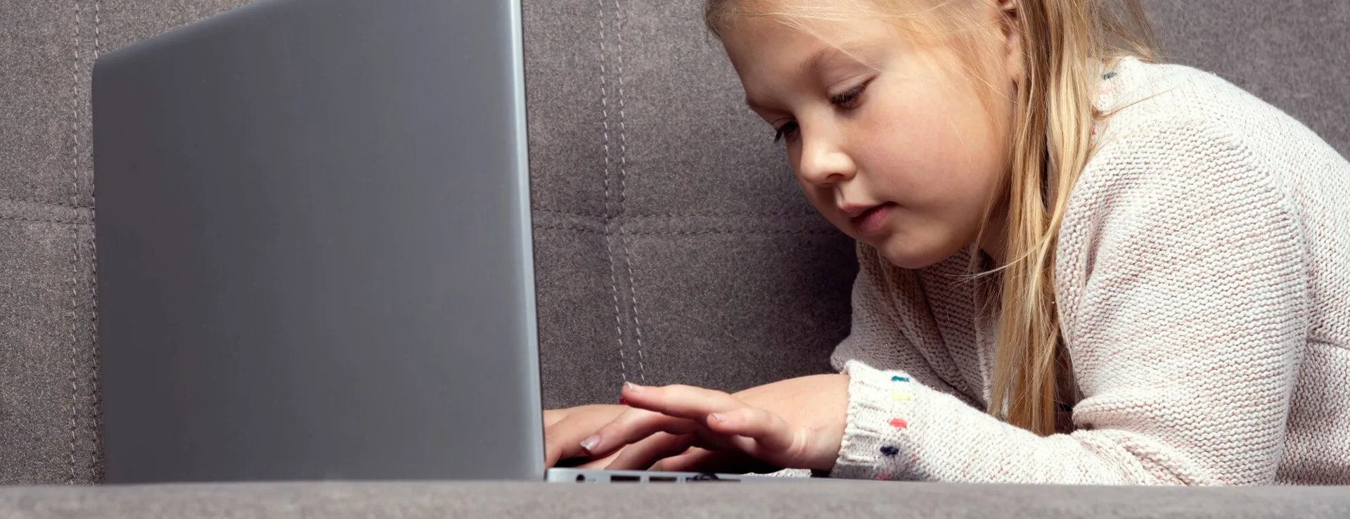 Интернет изследовател